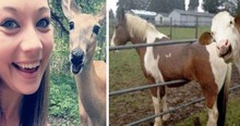 12 Animal Photobombs To Brighten Your Day