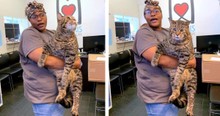 Enormous 26-lb Shelter Cat Mr. B Went Viral & This 'Chonk' Broke The Internet Looking For A Home