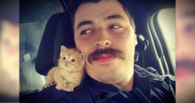 A Cop Rescued An Abandoned Kitten And The 2 Make The Cutest Partners