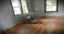 Abandoned Pit Bulls Left In House After Owners Are Evicted