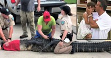 Nearly 12-Foot Alligator In Texas Is Headed Right For 4-Year-Old But Her Brave Dad Isn't Having It