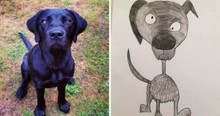 He's Never Drawn in His Life But People Are Lining Up to Buy Dad's Bad Pet Drawings