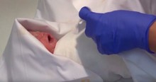 Nurses Rally Around Brain-Dead Mom Kept Alive 117 Days To Deliver Baby Girl