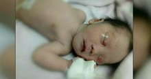 Buried Newborn Saved By A Furry Angel And Divine Intervention
