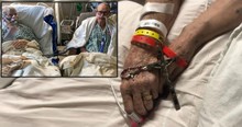 Couple Died Hours Apart Holding Hands After Beautiful Marriage Spanning Half A Century
