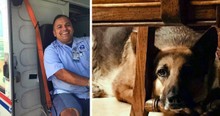 Dog And Mailman Friendship Ends In Heartbreak When Owner's Note Reveals Tragic News