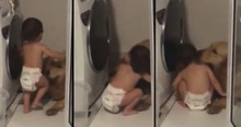 Dog Scared Of Thunderstorm Gets Comforted By His Toddler Bestie And Folks Can't Handle It