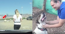Dog Stranded At Gas Station For 2 Months Finally Gets Rescued