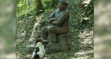 Friendly Dog Just Wants To Play Fetch And Can't Understand Why This Guy Is Refusing