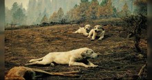 Why These Dogs Are Refusing To Leave The Woods Is Truly Touching