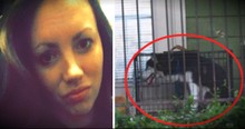 Neglected Husky Photo Posted By Neighbor Rescues 13 Animals