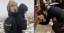 Couple Goes to Amazing Lengths to Save Golden Retriever Found Lost and Freezing in the Wild