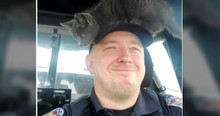 Police Officer Gets The Cutest New 'Partner' After Fuzzy Streak Runs Under His Cop Car