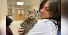 Kitten With No Eyes Thrown Out In The Trash But Special Angels Made Sure She Got A 2nd Chance