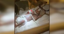 Doctors Said Her Son Wouldn't Survive But Miracle Micro Preemie Goes Home And Thrives
