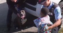 Missing Boy Found Wandering Streets With A Stray Pit Bull By His Side, Keeping Him Safe