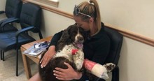Mom Prays And Gets Help From Angels To Carry 55-lb Injured Dog Down Mountain