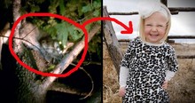 Family Says Angels Protected 4-Year-Old During Mountain Lion Attack