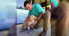 Pit Bull Puppy Was Near Death And Now The Man Who Helped Save Her Gives Her A Home