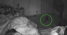 Security Camera Catches Snake Sneaking Into Room While Grandma Sleeps