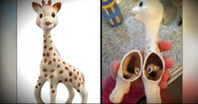 Parents Outraged Over Hazard Found Inside Popular Baby Teething Toy