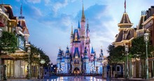 The Story Behind Why You Won't See Mosquitoes in Disney World