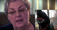 Helpless Woman On The Ground Saved By Doggie Divine Intervention