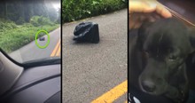 Woman Rescues Puppy Tied Up And Left In A Trash Bag