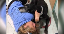 Woman's Touching Obituary For Her Beloved Fur-Baby
