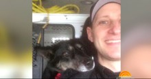 Adopted Police K9 Helped The Lady Who Gave Her A Second Chance In Life
