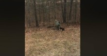 He Was Throwing Away The Christmas Tree When His Dog Had A Better Idea