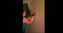 Baby Kittens Were Stuck Behind Drywall And A Woman Rescued Them