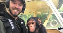 Baby Chimpanzee Was Taken Captive From His Mother, But Now He Is Free