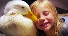 Little Girl And Her Duck Share a Beautiful Bond