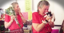 Students Surprise Beloved Teacher With Kittens