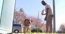 Greensboro Man Sacrifices A Home And Surgery To Keep The Dog He Loves Dearly