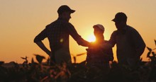 Farmer Suffers A Heart Attack In The Middle Of Harvesting And Then 60 Neighbors Show Up