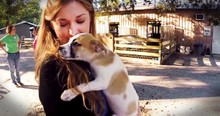 Family Meets Their New Rescue Puppy