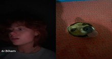 Woman Walks Into Bathroom & Is Shocked to Find a Stranger's Dog with Its Head Stuck in the Floor