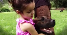 Dog Saves Toddler From Black Bear