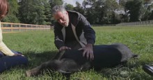 This TV Star Just Bought A Farm. And What He's Doing With It Had Me Cheering!