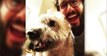 Josh Groban Shares About Anxiety And How His Dog Saved Him from A Terrorist Attack