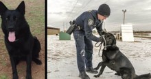 When You See What Officers Did For This Fallen Hero You'll Be Stunned. Get Your Tissues Ready!