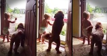 Dad Gets Welcomed Home By Baby Boy And Dog
