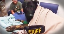 Heroic Police Dog Hears His Last Call