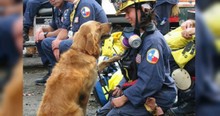 9/11 Search and Rescue Dog Honored with Adorable Pup Birthday Party