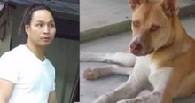 Man Who Suspected He Was Infected Walked For 3 Days To Protect The Public, But He Wasn't Alone