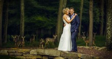 Bride And Groom Didn't Expect These Woodland Guests