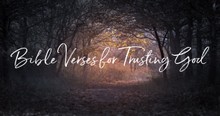 Top 20 Bible Verses for Trusting God When You Need Answers
