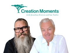Do Christians Need Evolution?